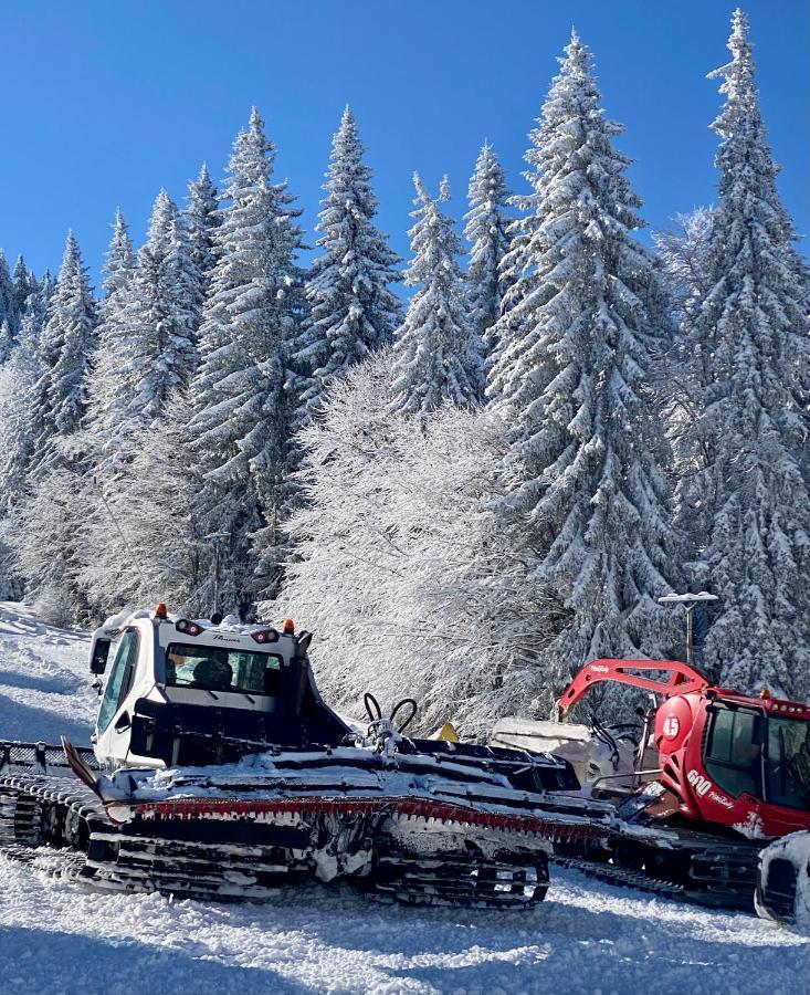 Luxury Aparthotel Studenets Pamporovo Eksteriør billede